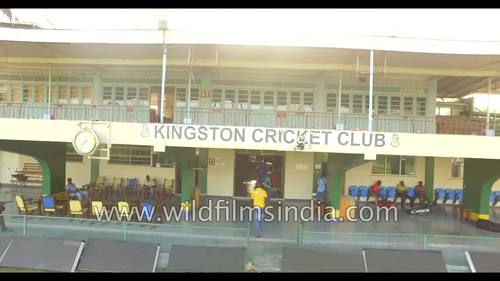 Test Match Sabina Park Crossword Puzzle By Csec English With Ms Skeene