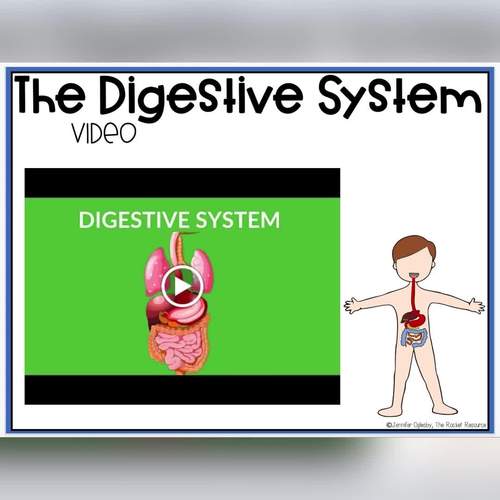 Digestive System for Google slides by The Rocket Resource TpT