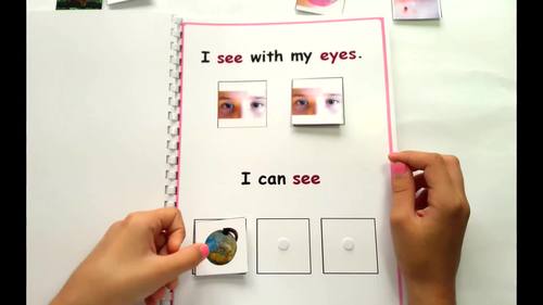 Five Senses Special Education And Autism Resource By Angie S Tpt