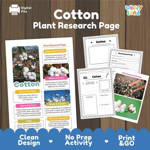 Cotton Plant Research Page | Agriculture Botany Activity | Science Textile