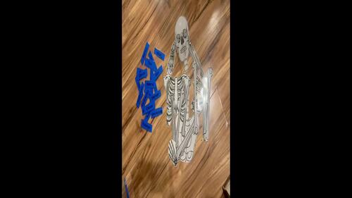 Build-a-Skeleton Project – Printable Anatomy & Skeleton Activity for ...