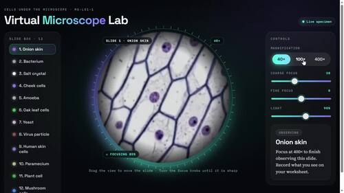 Virtual Lab - Cell Theory - NGSS MS-LS1 -1 - 12-Slide Microscope Activity