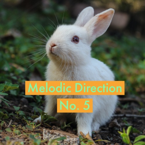 Preview of Melodic Direction No. 5 (Bunny visual)