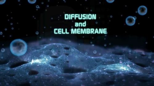 Preview of Diffusion and Cell Membrane - High quality HD Animated Video - eLearning