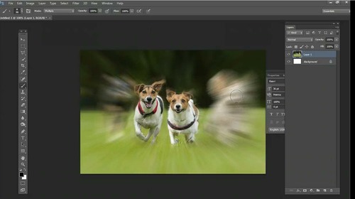 Preview of Blur Background in Photoshop | Image Project/s