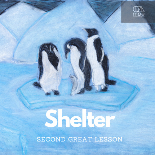 Preview of Shelter Video