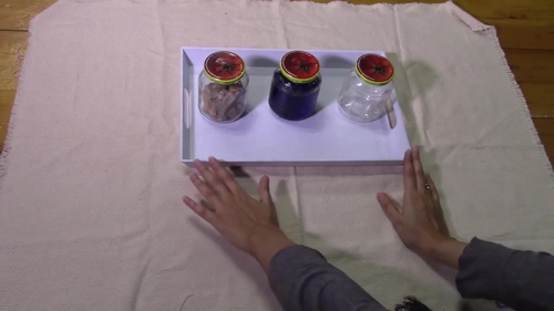 Preview of Montessori land water and air Presentation (Concrete)