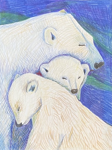 Preview of Polar Bear Family Drawing