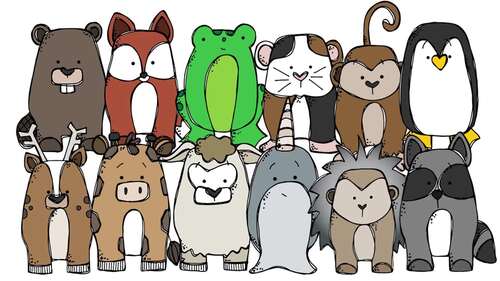 Animals clip art set 6 COMBO PACK by Melonheadz Clipart | TPT