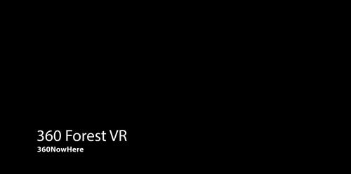 Preview of 360 Immersive View of Tropical Forest