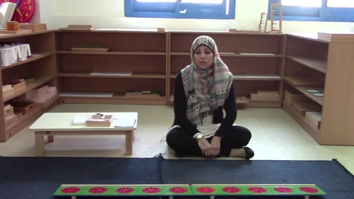 Preview of Montessori Introduction to Fractions insets (Circles)