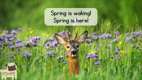 Preview of Music: Spring Wakes Up Choir Song, Seasonal Songs Classroom Activity Lyrics