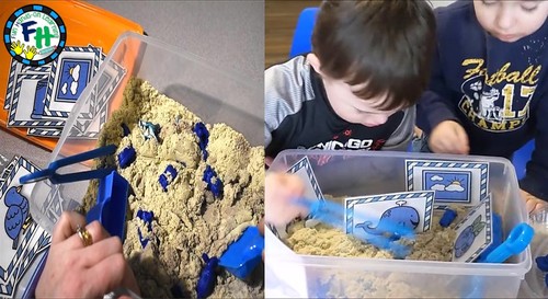 Preview of VIDEO: Sensory Bin Activity - The Color Blue