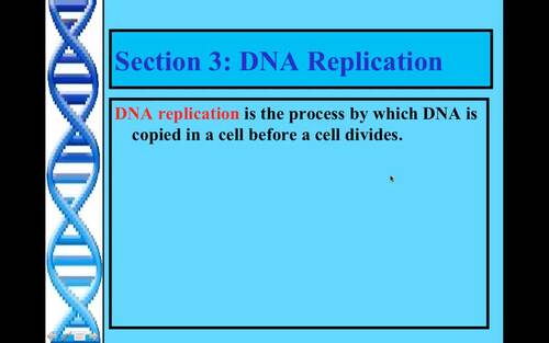 Preview of Biology Lecture Video/DNA Replication/Flipped Classroom/Edpuzzle Ready