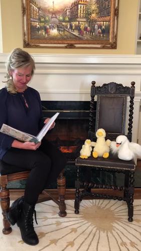Preview of The Ugly Duckling - A Story from Denmark