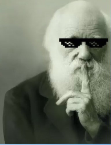 Preview of Ideas That Shaped Darwin's Thinking