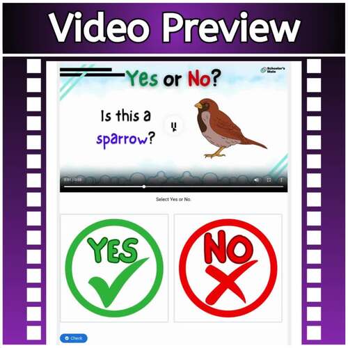 Yes or No: Birds Digital Resources, Vocabulary Building by Schooler's Mate