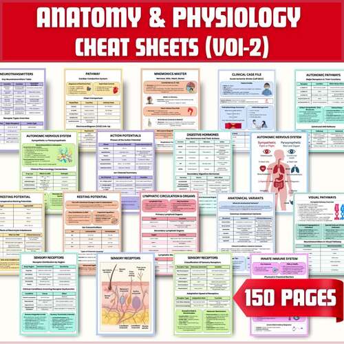 Anatomy & Physiology Study Guide 150+ Pages | Nursing & Health Science PDF