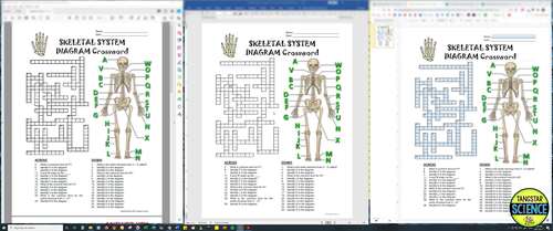 Skeletal System Crossword with Diagram Printable Distance Learning