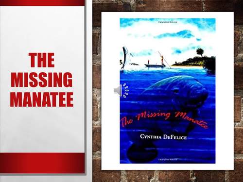 Preview of The Missing Manatee Book Chapters 6-9 and Questions Read Aloud Video