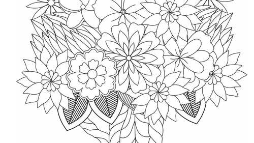 Mixed Set Adult Coloring Books Art Therapy Joyous Blooms Zen Colouring Set  Three