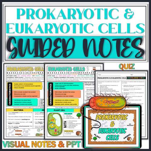 Prokaryotic and Eukaryotic Cells Doodle Biology Guided Notes ...