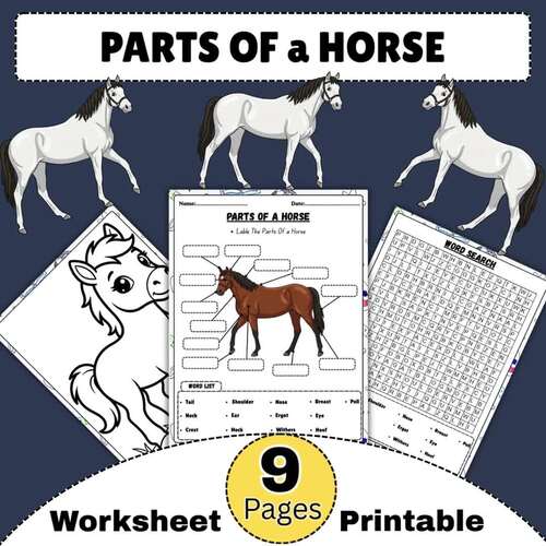 Parts of a Horse Worksheet | Farm Animal Anatomy Printable for Kids ...