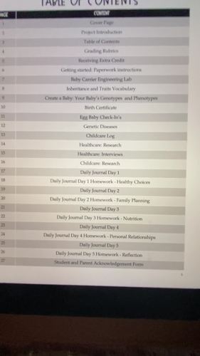 Egg Baby Cross Curricular Project by Hi Ms Steph | TPT