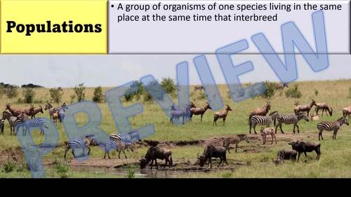 AP Environmental Science Introduction To Populations Lesson BUNDLE