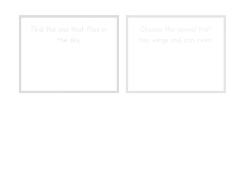 Features & Functions Matching Task Cards | Identifying Characteristics