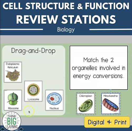 Cell Structure And Function Review Stations Biology Eoc Reporting Category 1