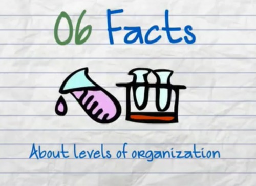Preview of Intro video for teaching levels of organization biology 5th 6th 7th 8th jr high