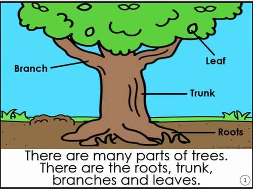 Trees Study Books Printable and Digital - Little Books For Big Thinkers