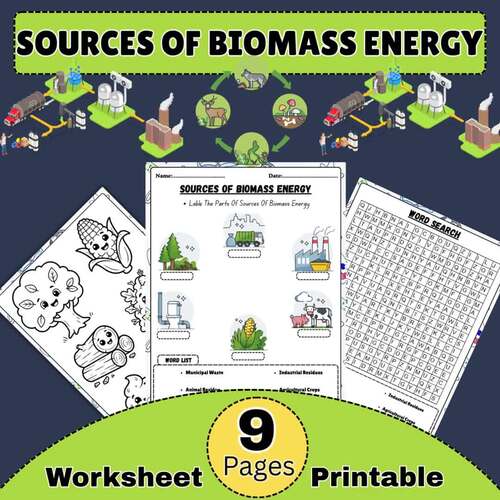 Sources Of Biomass Energy Worksheet | Renewable Energy Labeling Activity,