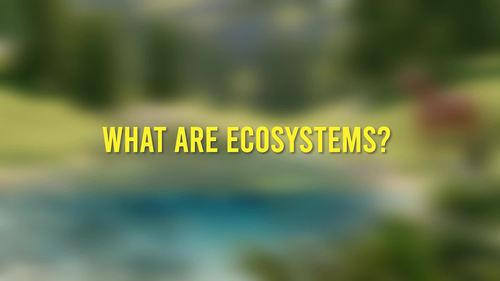 Preview of What are EcoSystems : High quality HD animation for Distance | HomeSchooling