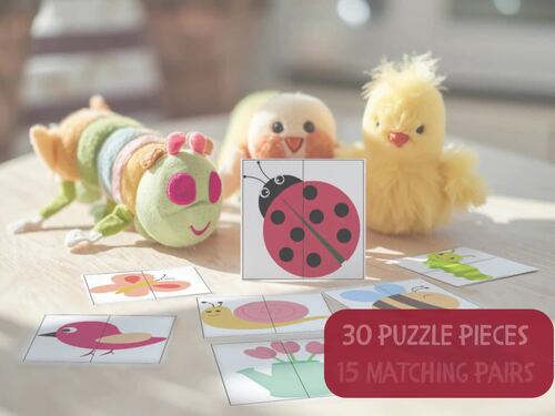 Spring Matching Game - 15 Pairs Insect & Flower Puzzles -Science Center Activity