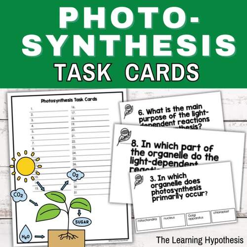 Photosynthesis Task Cards Activity by The Learning Hypothesis Store