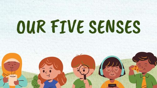 Preview of Explore Our Five Senses - educational video