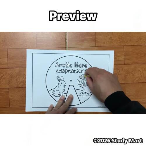 Arctic Hare Adaptations Spinner | Hands-On Arctic Animal Adaptations Craft