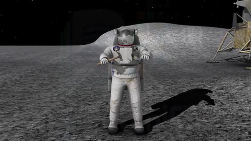 Preview of Freefall - High quality HD Animated Video - eLearning - Homeschooling