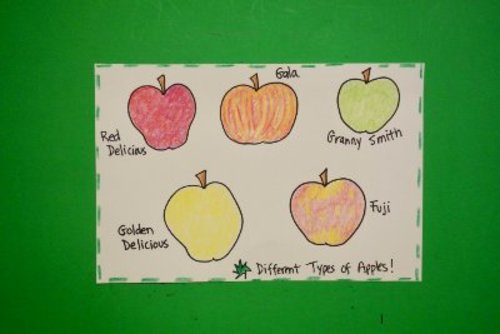 Preview of Let's Draw Different Types of Apples!
