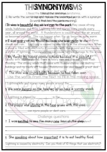 Reading Comprehension Activities - Information Reports with Grammar and