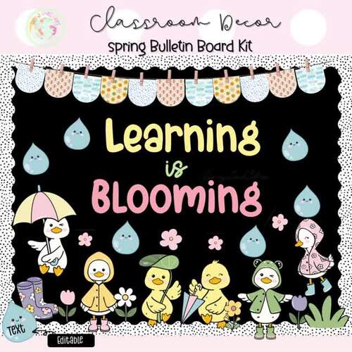 Spring Bulletin Board Ideas Silly Goose Decorations March April Door Decor