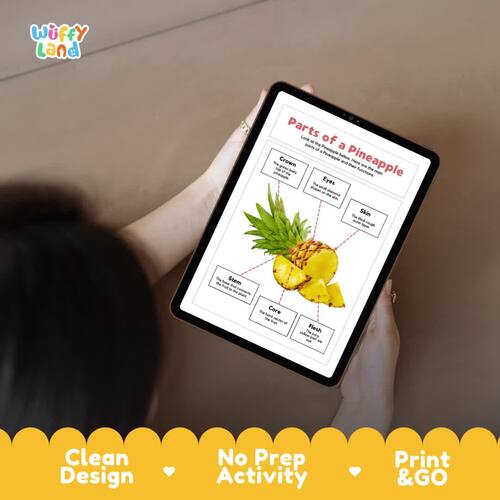 Parts of a Pineapple Anatomy Poster | Tropical Fruit Science Cut and ...