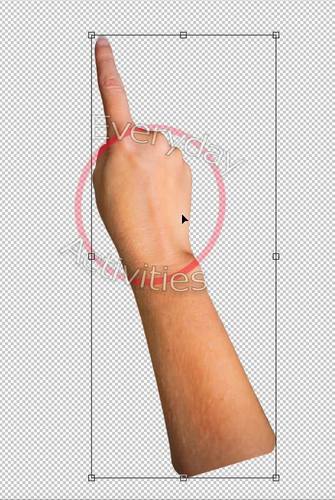 Stock Photo Adult Right Hand Pointing - Transparent Background | TPT