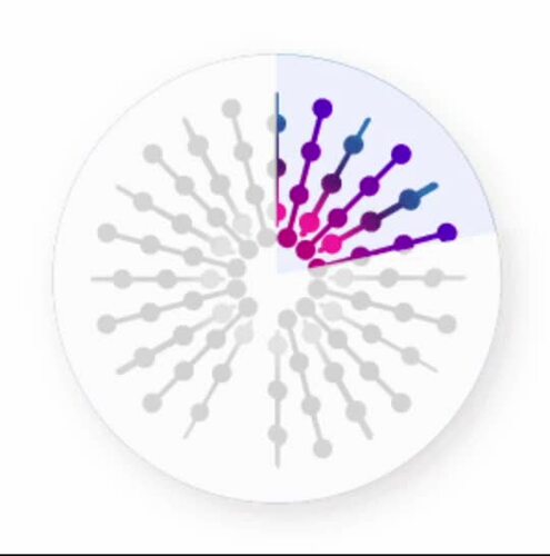 Classroom Timers: Perfect for slideshows or SMARTnotebook! (GIF Files)