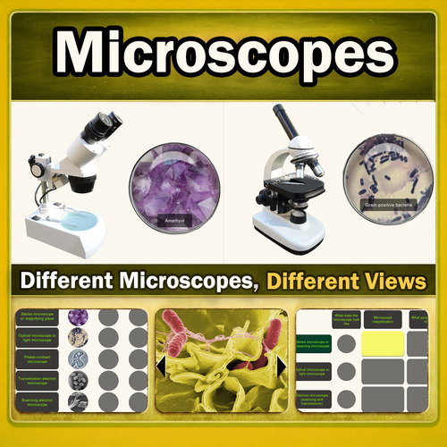 Preview of Microscopes: Types, Uses and Images – Interactive Science Lesson