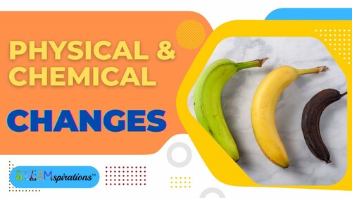 Preview of What is the Difference Between Physical and Chemical Changes? Chemistry