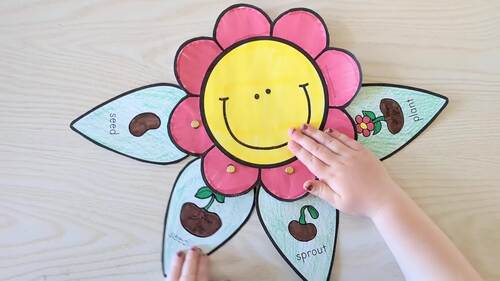Plant Life Cycle Flower Craft | Spring Science | Preschool Sequencing ...