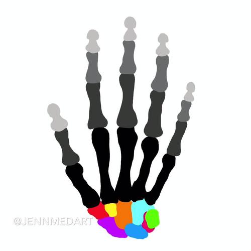 Bones of the Hand Anatomy Fillable/Filled Worksheets by JennMedArt